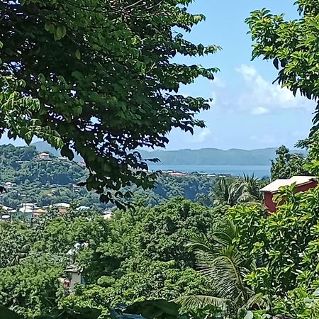 Garifuna Retreat Apartment キングスタウン エクステリア 写真