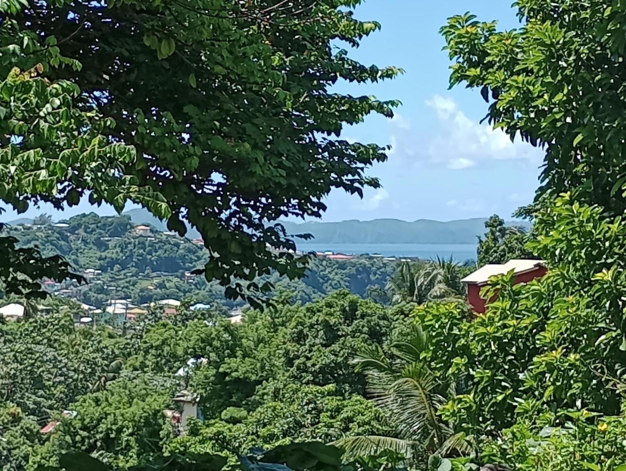 Garifuna Retreat Apartment キングスタウン エクステリア 写真