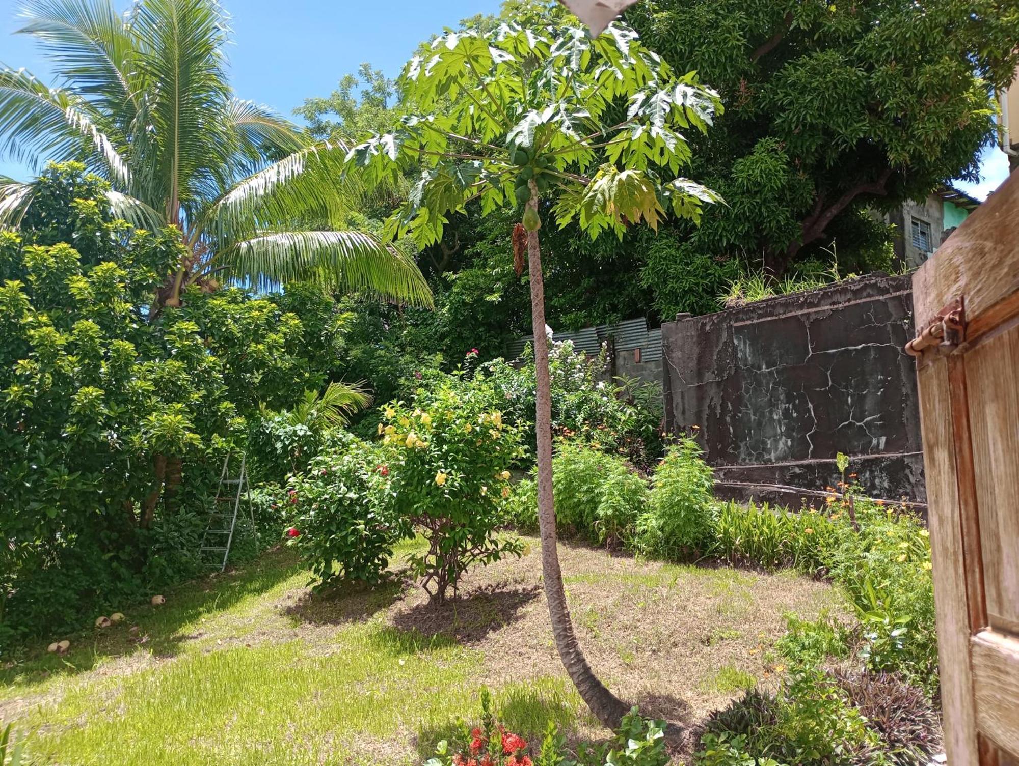 Garifuna Retreat Apartment キングスタウン エクステリア 写真